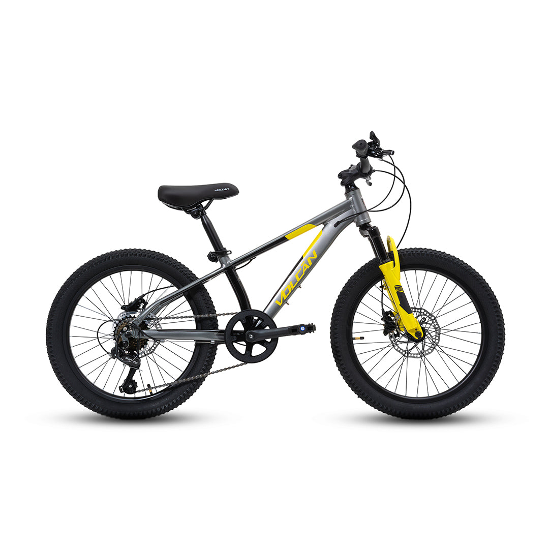 20" Apollo Mountain Bike