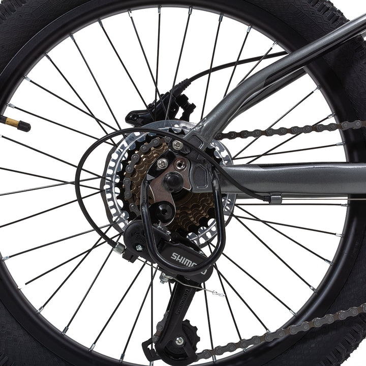 20" Apollo Mountain Bike