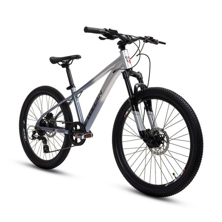 24” Orion Mountain Bike