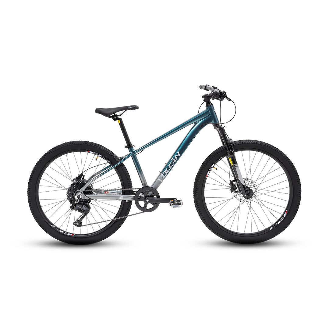 26” Cosmo Mountain Bike