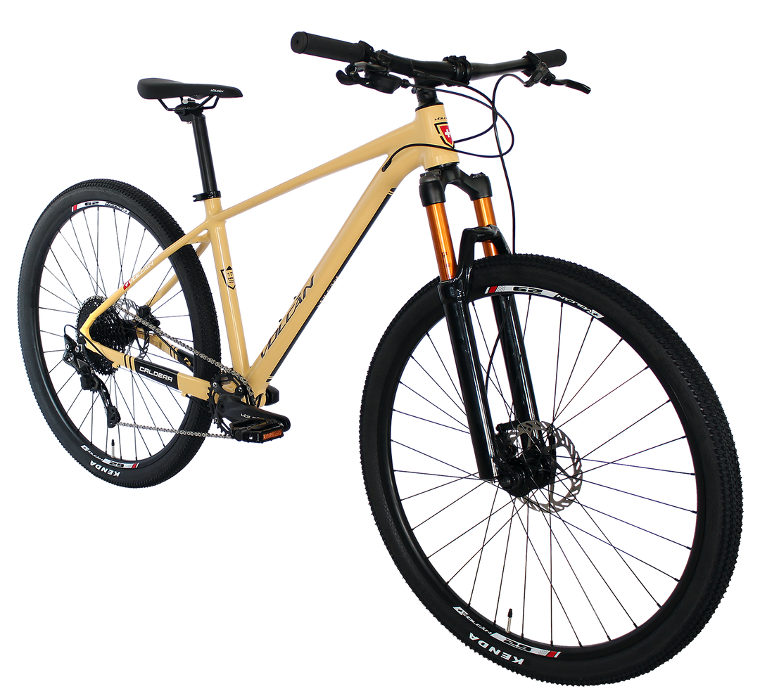 29" CALDERA MOUNTAIN BIKE (2023)