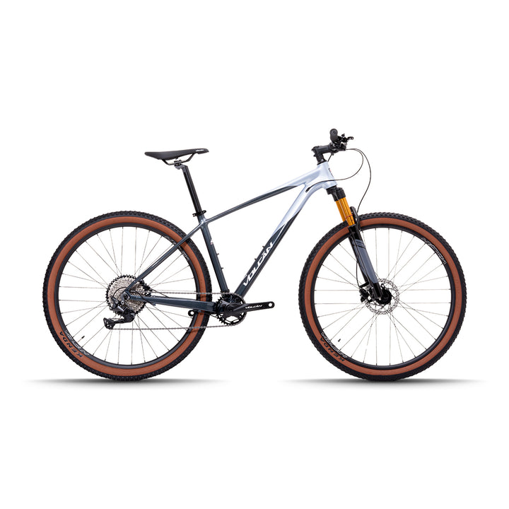 29” Castor Mountain Bike