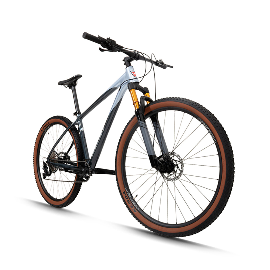 29” Castor Mountain Bike