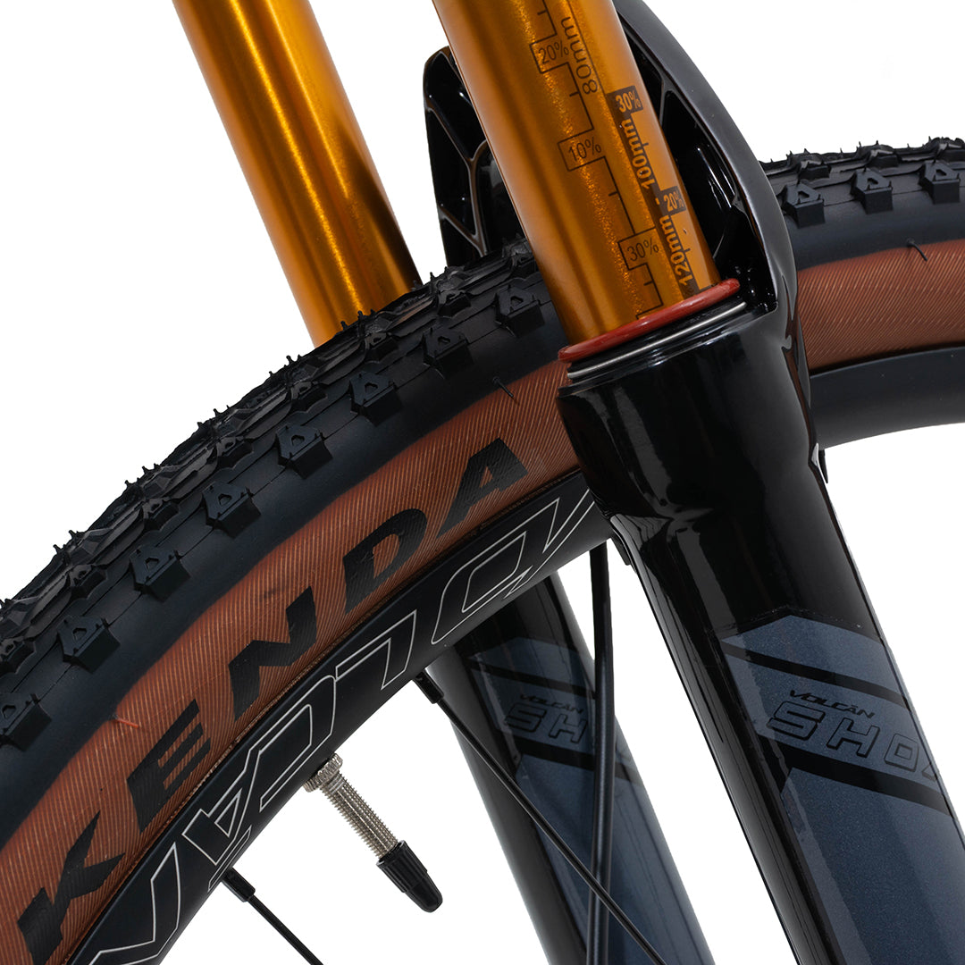 29” Castor Mountain Bike