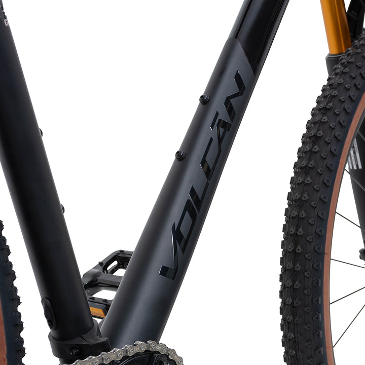 29” Donati Mountain Bike