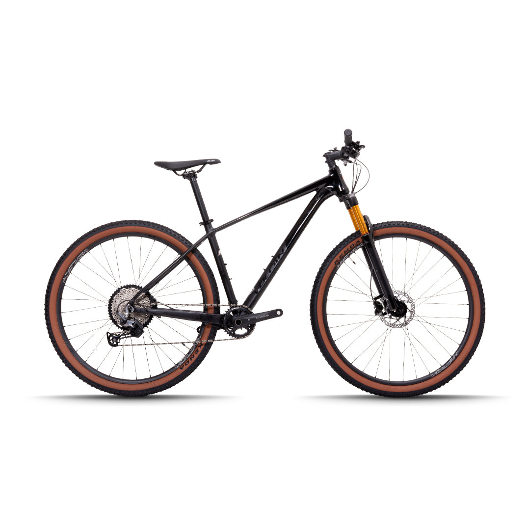 29” Donati Mountain Bike