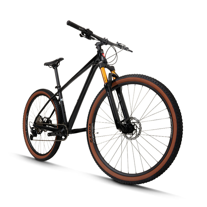 29” Donati Mountain Bike