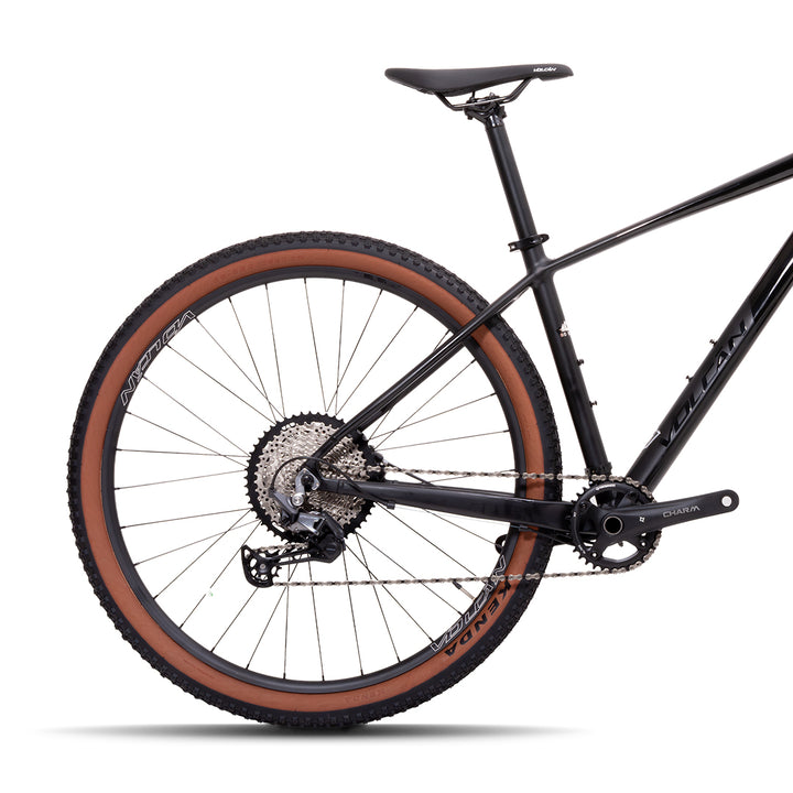 29” Donati Mountain Bike