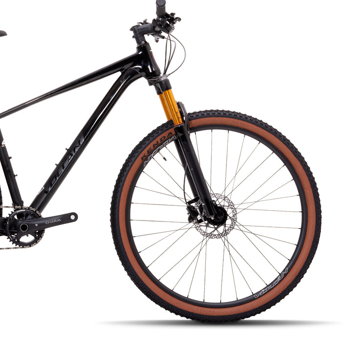29” Donati Mountain Bike